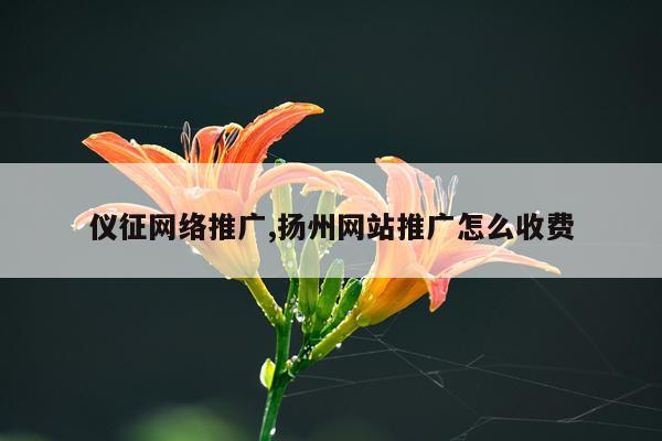仪征网络推广,扬州网站推广怎么收费