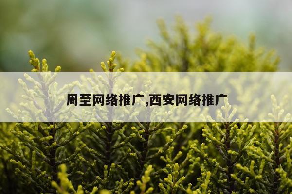 周至网络推广,西安网络推广