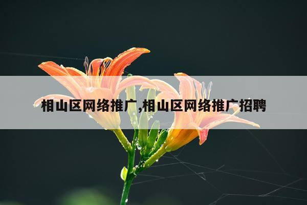 相山区网络推广,相山区网络推广招聘