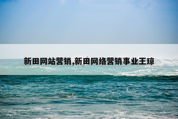 新田网站营销,新田网络营销事业王琼