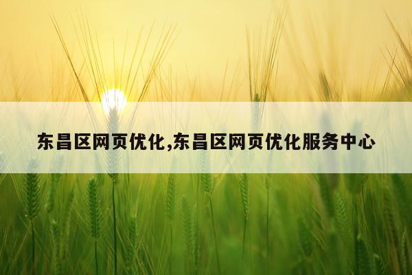 东昌区网页优化,东昌区网页优化服务中心