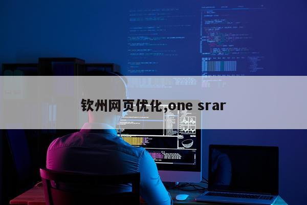 钦州网页优化,one srar
