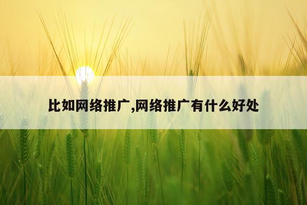 比如网络推广,网络推广有什么好处