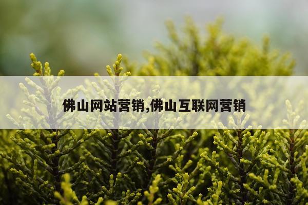 佛山网站营销,佛山互联网营销