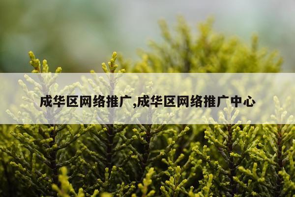 成华区网络推广,成华区网络推广中心