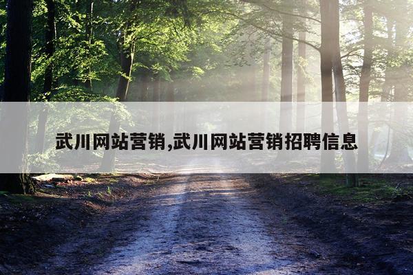 武川网站营销,武川网站营销招聘信息