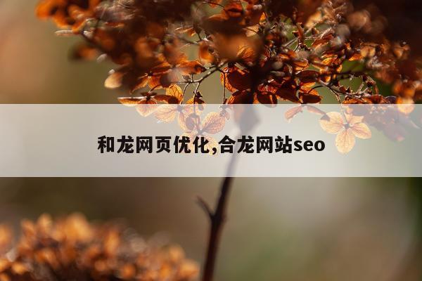 和龙网页优化,合龙网站seo
