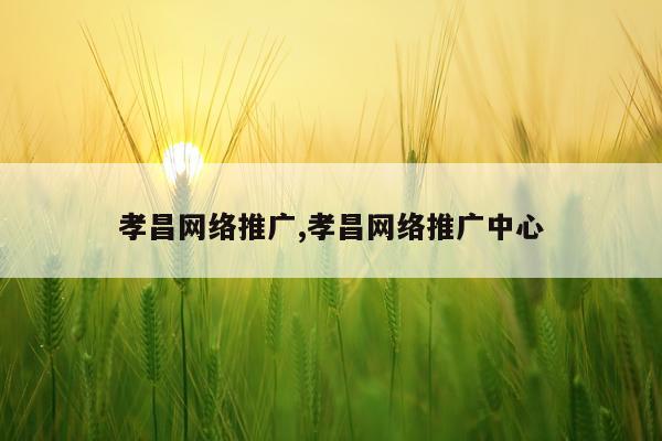 孝昌网络推广,孝昌网络推广中心
