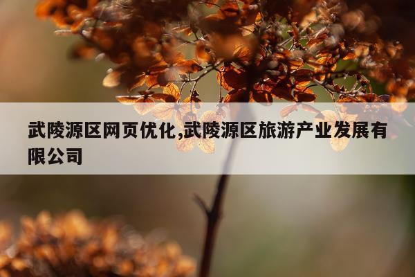 武陵源区网页优化,武陵源区旅游产业发展有限公司