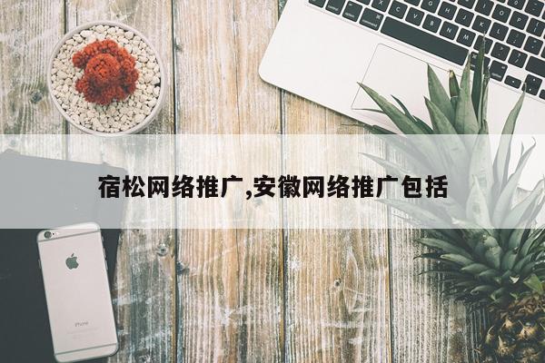 宿松网络推广,安徽网络推广包括