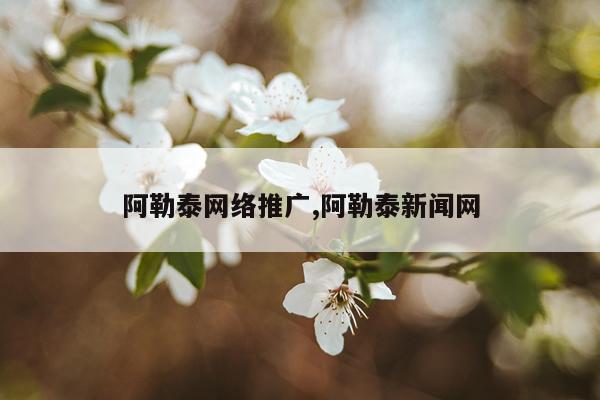 阿勒泰网络推广,阿勒泰新闻网