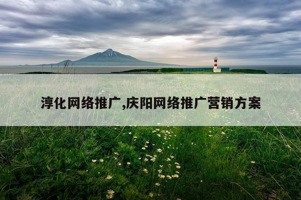 淳化网络推广,庆阳网络推广营销方案