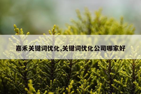 嘉禾关键词优化,关键词优化公司哪家好