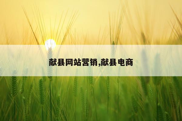 献县网站营销,献县电商
