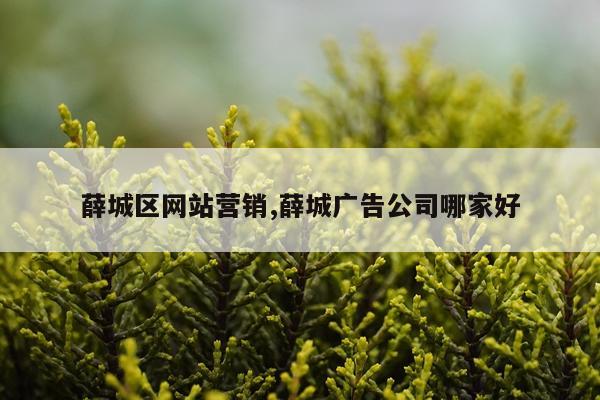 薛城区网站营销,薛城广告公司哪家好