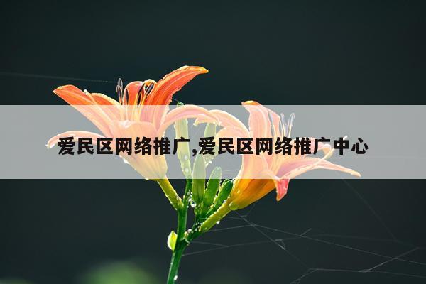 爱民区网络推广,爱民区网络推广中心
