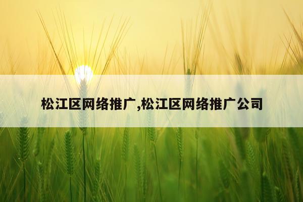 松江区网络推广,松江区网络推广公司