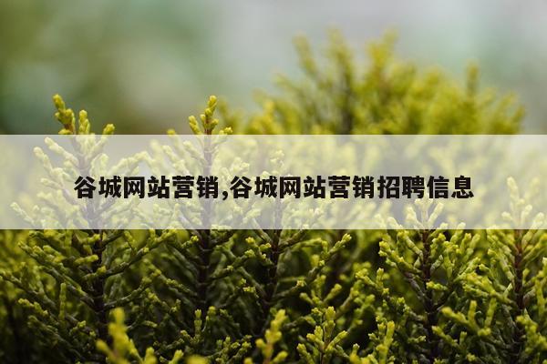 谷城网站营销,谷城网站营销招聘信息