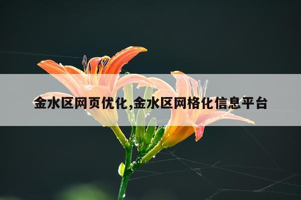 金水区网页优化,金水区网格化信息平台