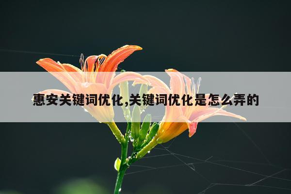 惠安关键词优化,关键词优化是怎么弄的