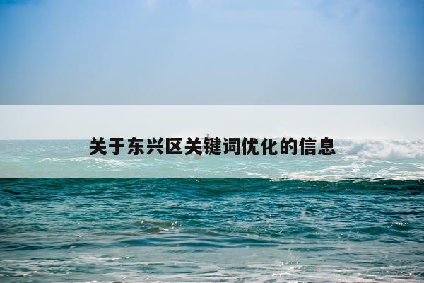 关于东兴区关键词优化的信息