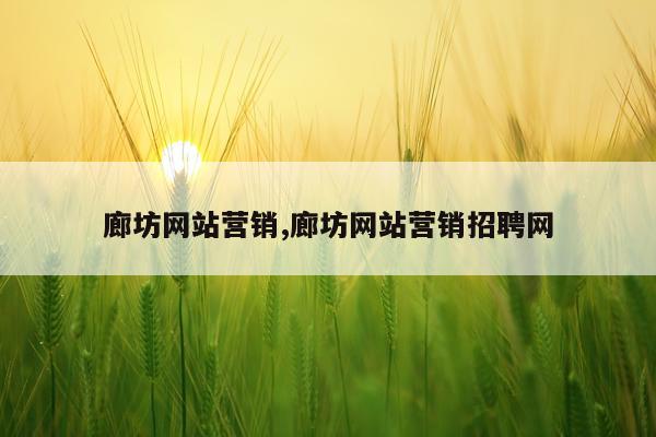 廊坊网站营销,廊坊网站营销招聘网