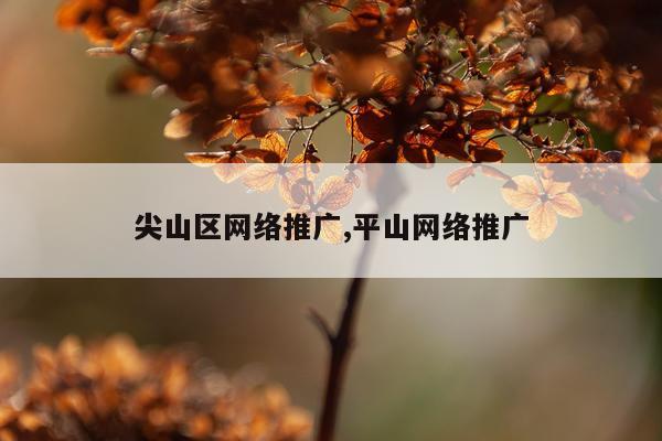 尖山区网络推广,平山网络推广