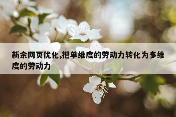 新余网页优化,把单维度的劳动力转化为多维度的劳动力
