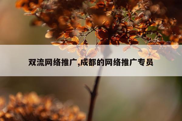 双流网络推广,成都的网络推广专员