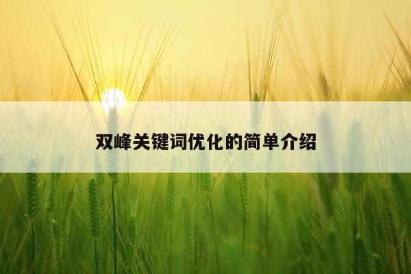双峰关键词优化的简单介绍