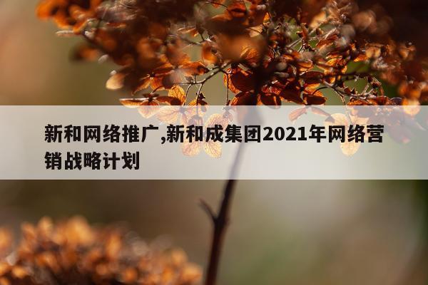 新和网络推广,新和成集团2021年网络营销战略计划
