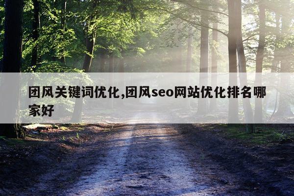 团风关键词优化,团风seo网站优化排名哪家好