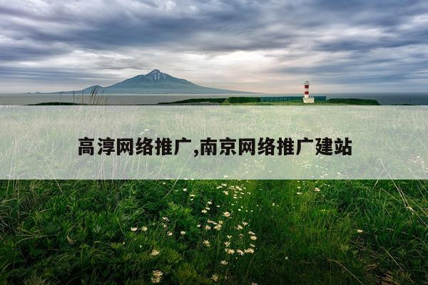高淳网络推广,南京网络推广建站