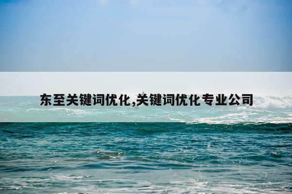 东至关键词优化,关键词优化专业公司