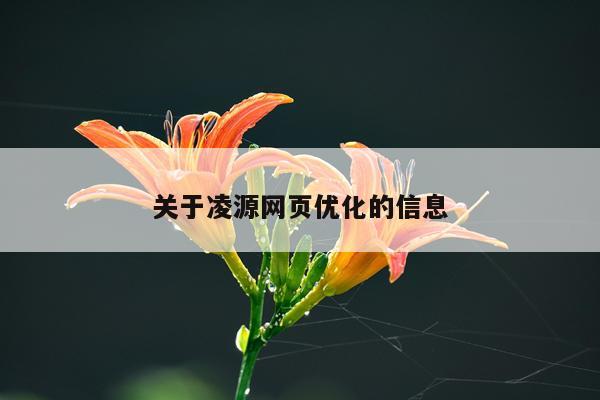 关于凌源网页优化的信息