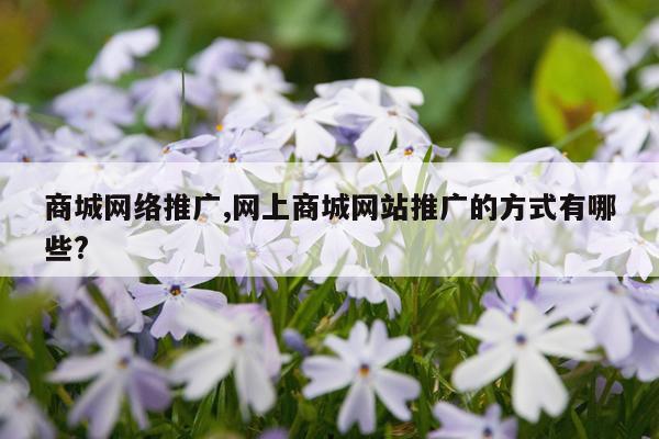 商城网络推广,网上商城网站推广的方式有哪些?