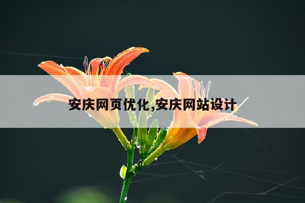 安庆网页优化,安庆网站设计