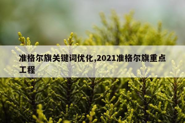 准格尔旗关键词优化,2021准格尔旗重点工程