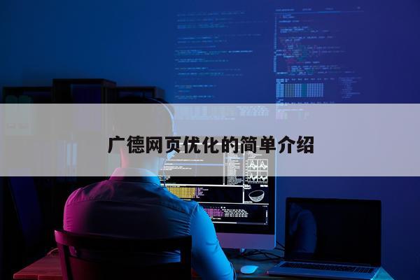 广德网页优化的简单介绍