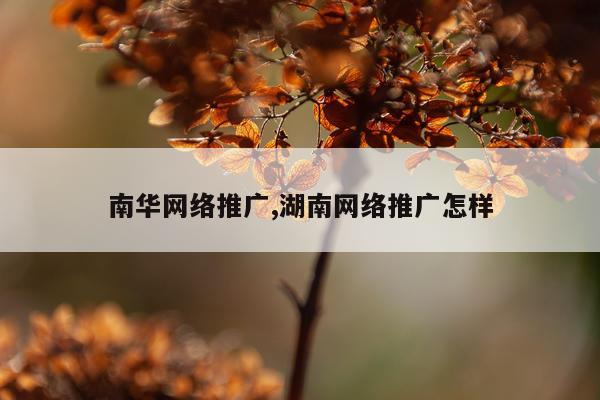 南华网络推广,湖南网络推广怎样