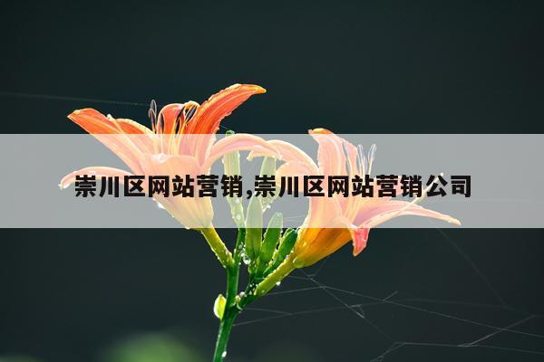 崇川区网站营销,崇川区网站营销公司