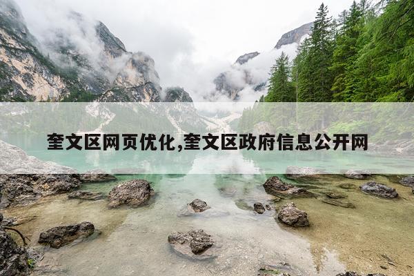奎文区网页优化,奎文区政府信息公开网