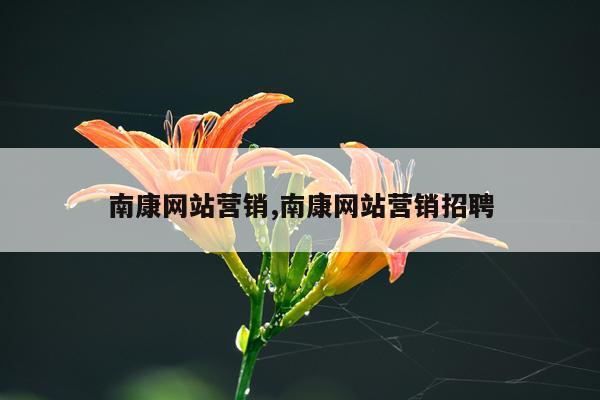 南康网站营销,南康网站营销招聘