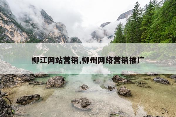 柳江网站营销,柳州网络营销推广