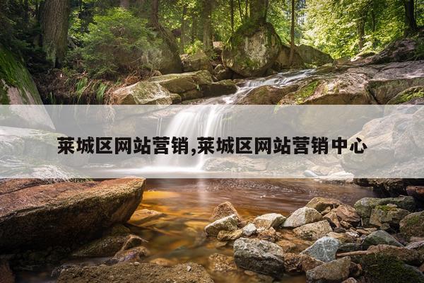 莱城区网站营销,莱城区网站营销中心