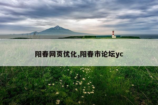阳春网页优化,阳春市论坛yc