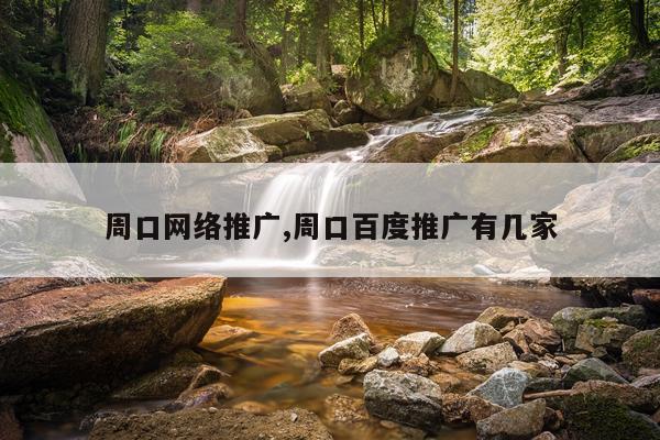 周口网络推广,周口百度推广有几家