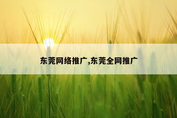 东莞网络推广,东莞全网推广