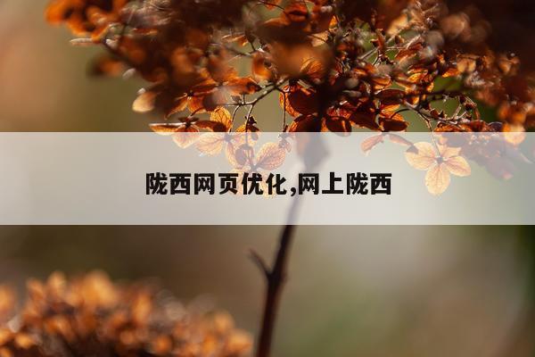 陇西网页优化,网上陇西