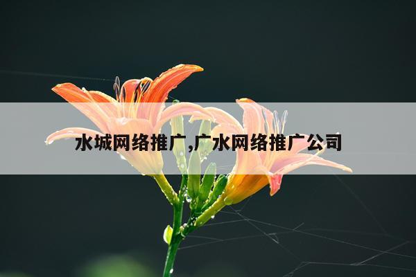 水城网络推广,广水网络推广公司